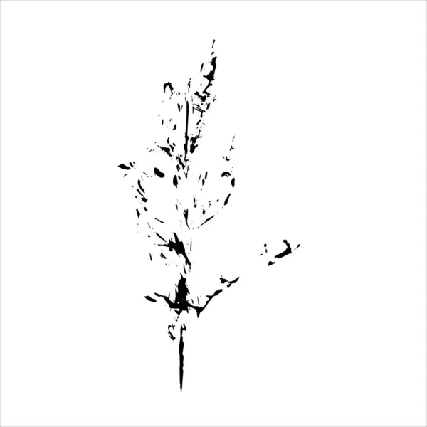 Impresión Planta Silueta Negra Elemento Herbal Sobre Fondo Blanco Detalle — Archivo Imágenes Vectoriales
