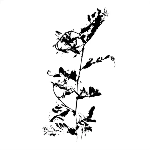 Αποτυπώματα Φυτών Μαύρη Σιλουέτα Φυτικού Στοιχείου Λευκό Φόντο Βοτανικές Λεπτομέρειες — Διανυσματικό Αρχείο