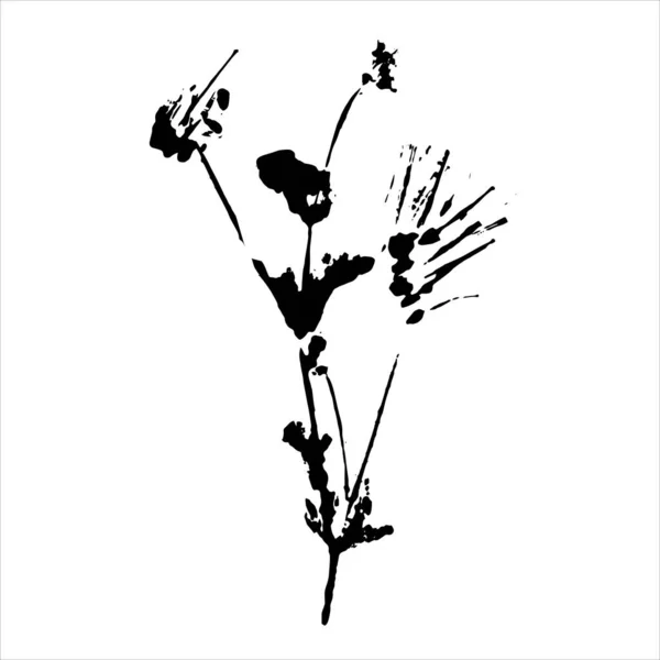 Otisk Rostliny Černá Silueta Bylinného Prvku Bílém Pozadí Vektorový Botanický — Stockový vektor