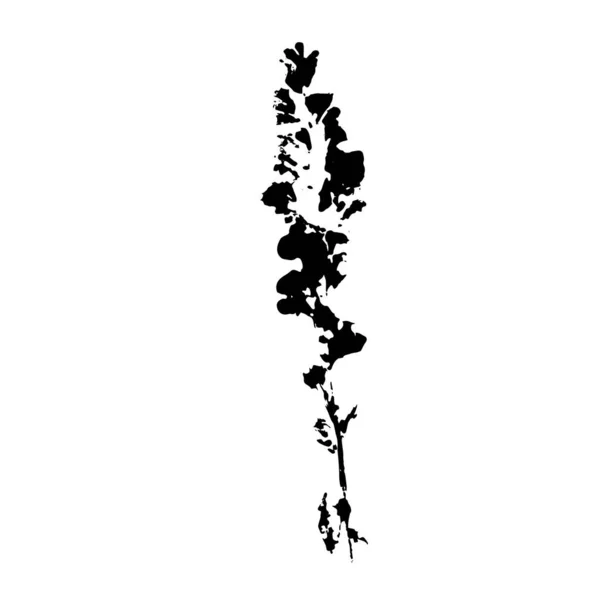 Vektorbotanisches Detail Pflanzenabdruck Auf Weißem Hintergrund — Stockvektor