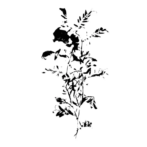 Векторные Ботанические Детали Отпечаток Растения Белом Фоне — стоковый вектор