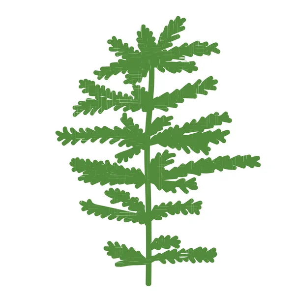 針が付いているスプルースの緑の枝 ベクトルイラスト — ストックベクタ
