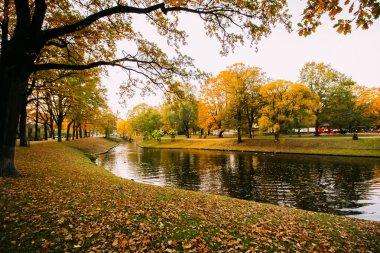 Riga şehrinin şehir parkı. Sonbahar sezonunda şehir manzarası.