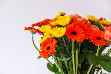 Güzel, parlak bir buket Gerbera çiçeği.