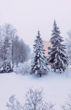 Riga, Letonya 'daki şehir manzarası. Şehirde kış mevsimi.