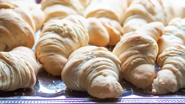 Raw croissant rolls in baking process.