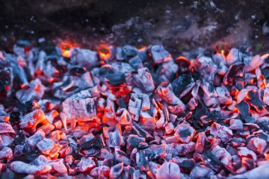 Brezilya 'da sıcak kömür. Piknikte barbeküye hazırlanıyorum..