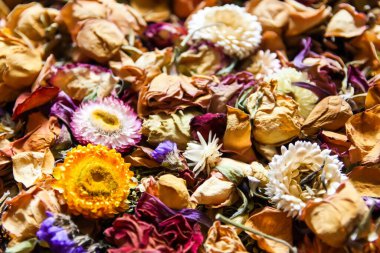 Kurumuş çiçekler ve taç yaprakları. Çiçek dekoru.