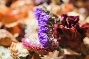 Kurumuş çiçekler ve taç yaprakları. Çiçek dekoru.