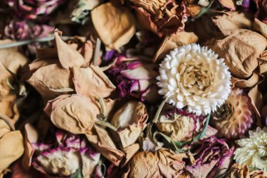 Kurumuş çiçekler ve taç yaprakları. Çiçek dekoru.