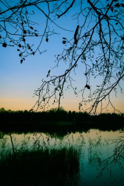 Letonya 'da sonbahar günbatımında gölü olan huzurlu bir manzara.