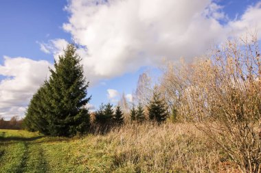 Manzaralı doğa manzarası. Letonya 'da sonbahar manzarası.