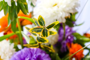 Romantik parlak çiçek kompozisyonu.