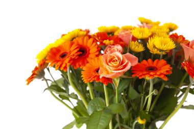 Parlak, güzel, taze çiçeklerin bileşimi.