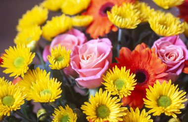 Parlak, güzel, taze çiçeklerin bileşimi.