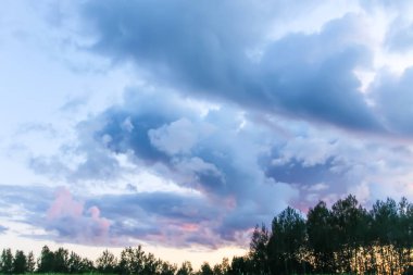 Yeşil tarlaları ve günbatımı gökyüzü olan kırsal alan. Letonya, Avrupa 'da yaz doğa detayları .