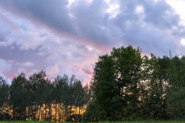 Yeşil tarlaları ve günbatımı gökyüzü olan kırsal alan. Letonya, Avrupa 'da yaz doğa detayları .