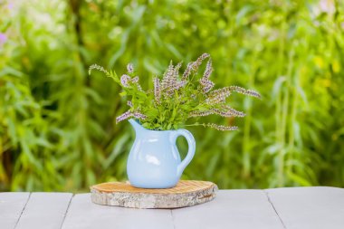 Taze nane. Bitki çayı ve homeopatik tedavi için tıbbi bitkiler..