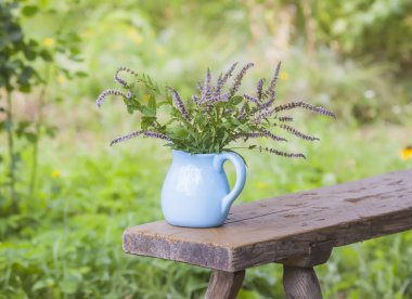 Bitki çayı ve homeopatik tedavi için tıbbi bitkiler. Mavi seramik sürahide taze nane şekeri..