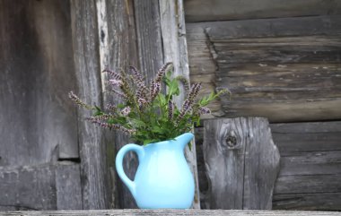 Bitki çayı ve homeopatik tedavi için tıbbi bitkiler. Kaba ahşap arka planda mavi seramik sürahi içinde taze nane..