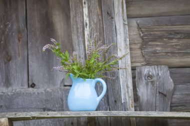 Bitki çayı ve homeopatik tedavi için tıbbi bitkiler. Kaba ahşap arka planda mavi seramik sürahi içinde taze nane..