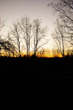 Kırsal bölge. Sonbahar kır manzarası.