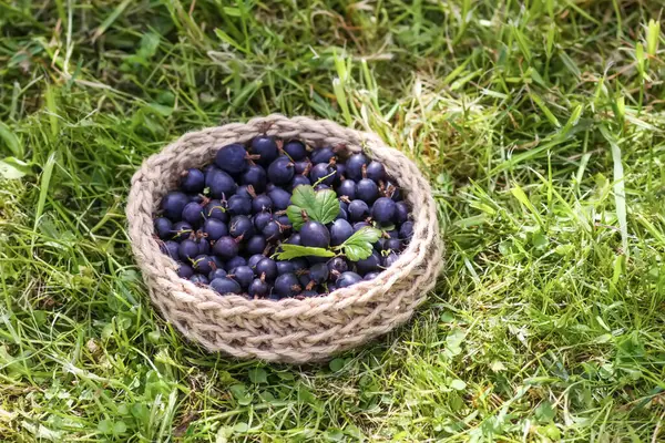 Juicy ripe berries of a gooseberry in a small handmade jute basket.