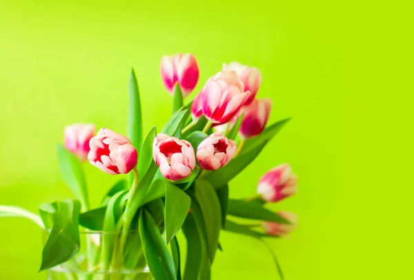 Tulips bouquet. Spring decor or present for International Women\'s Day, birthday, Mother\'s day.