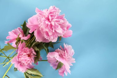 Güzel kokulu çiçekler. Küçük bir sepetteki pembe şakayıklar. Çiçek dekoru.