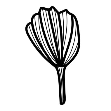 Çiçek tasarım elementi. Vektör illüstrasyonu.