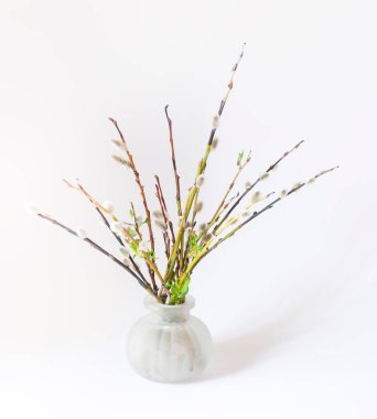 Vazoda söğüt dalları buketi.