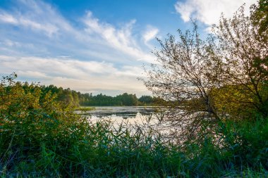 Beautiful landscape on a summer day in Latvia. Nature in the countryside.