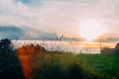 Beautiful landscape on a summer day in Latvia. Nature in the countryside.
