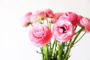 Pembe Ranunculus çiçekleri. Çok güzel bir buket..