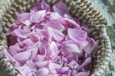 Bitki çayı veya kozmetik ürünler için pembe gül yaprakları.