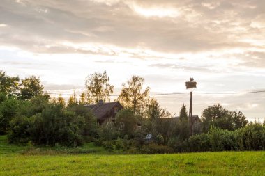 Letonya 'nın kırsal kesiminde yaz manzarası.