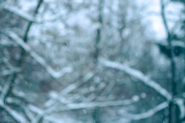 Kış doğası kar yağışı geçmişini bulanıklaştırdı.