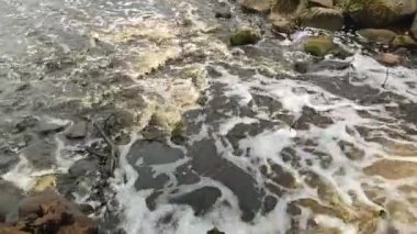 Şehir parkında kristal berraklığında su akar. Bir sonbahar gününde doğa detayları.