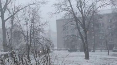 Snowfall in the city of Riga, Latvia. 