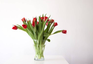 Kırmızı laleler. Güzel bahar çiçekleri. Minimalist tarzında romantik bir buket..