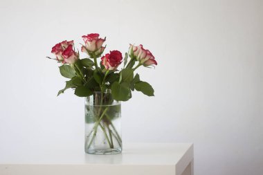 Kırmızı gül çiçekleri. Minimalist tarzında romantik bir buket..