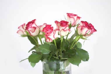 Kırmızı gül çiçekleri. Minimalist tarzında romantik bir buket..