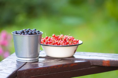 Olgun siyah üzümler ve ahşap korkuluklarda kırmızı üzümler..
