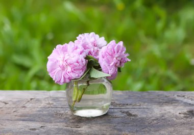 Dışarıdaki ahşap bankta cam kavanozda pembe güller.