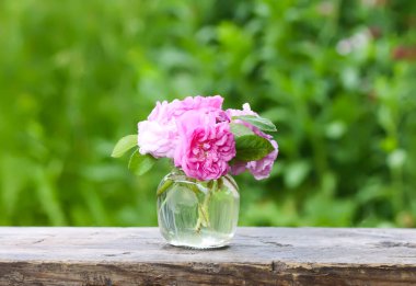 Dışarıdaki ahşap bankta cam kavanozda pembe güller.