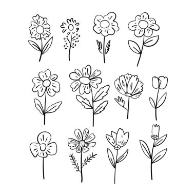 Elle çizilmiş çiçek ve bitkilerin vektör seti. En az botanik çizgisi koleksiyonu. Grafik tasarımı için Contour çiçek çizimleri.