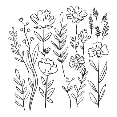 Elle çizilmiş çiçek ve bitkilerin vektör seti. En az botanik çizgisi koleksiyonu. Grafik tasarımı için Contour çiçek çizimleri.
