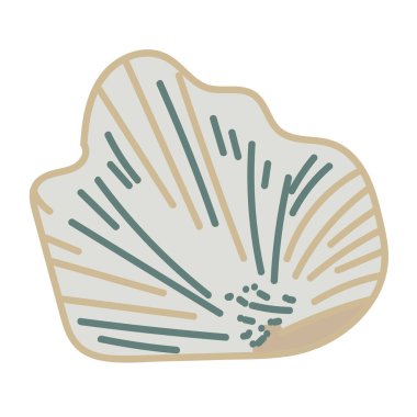 Beyaz arka planda tek bir renkli deniz kabuğunun vektör çizimi. Kıyı grafik kompozisyonları için zarif çizim.