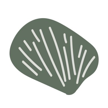 Beyaz arka planda tek bir renkli deniz kabuğunun vektör çizimi. Kıyı grafik kompozisyonları için zarif çizim.