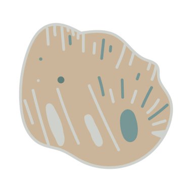 Beyaz arka planda tek bir renkli deniz kabuğunun vektör çizimi. Kıyı grafik kompozisyonları için zarif çizim.